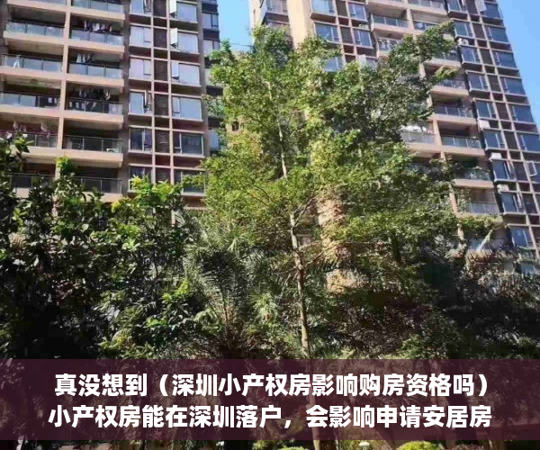 真没想到（深圳小产权房影响购房资格吗）小产权房能在深圳落户，会影响申请安居房 、公租房、保障房吗？，深圳小产权房子有保障吗，