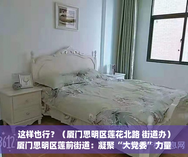 这样也行？（厦门思明区莲花北路 街道办）厦门思明区莲前街道：凝聚“大党委”力量 全域攻坚助力基层治理，厦门思明区莲前社区，