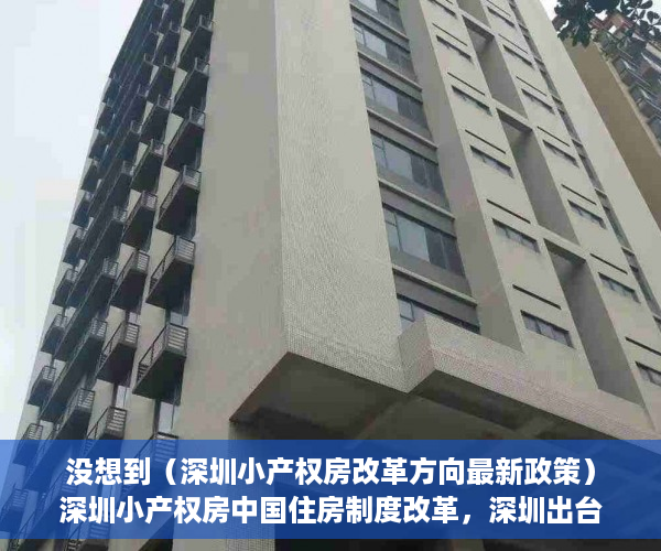 没想到（深圳小产权房改革方向最新政策）深圳小产权房中国住房制度改革，深圳出台小产权房国有化政策，