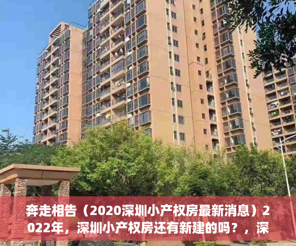 奔走相告（2020深圳小产权房最新消息）2022年，深圳小产权房还有新建的吗？，深圳哪年开始禁止建小产权房，