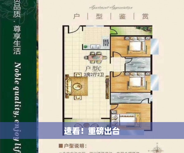 速看！重磅出台