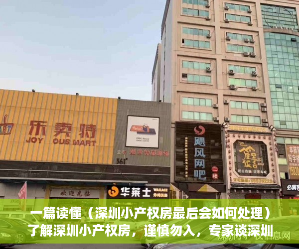 一篇读懂（深圳小产权房最后会如何处理）了解深圳小产权房，谨慎勿入，专家谈深圳小产权房的未来，