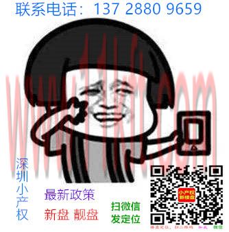 深圳大浪小产权房价