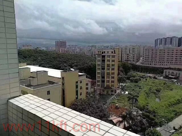 东创观澜上院是小产权房