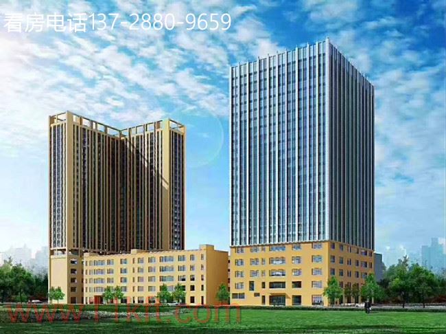 龙华大浪商业街小产权房