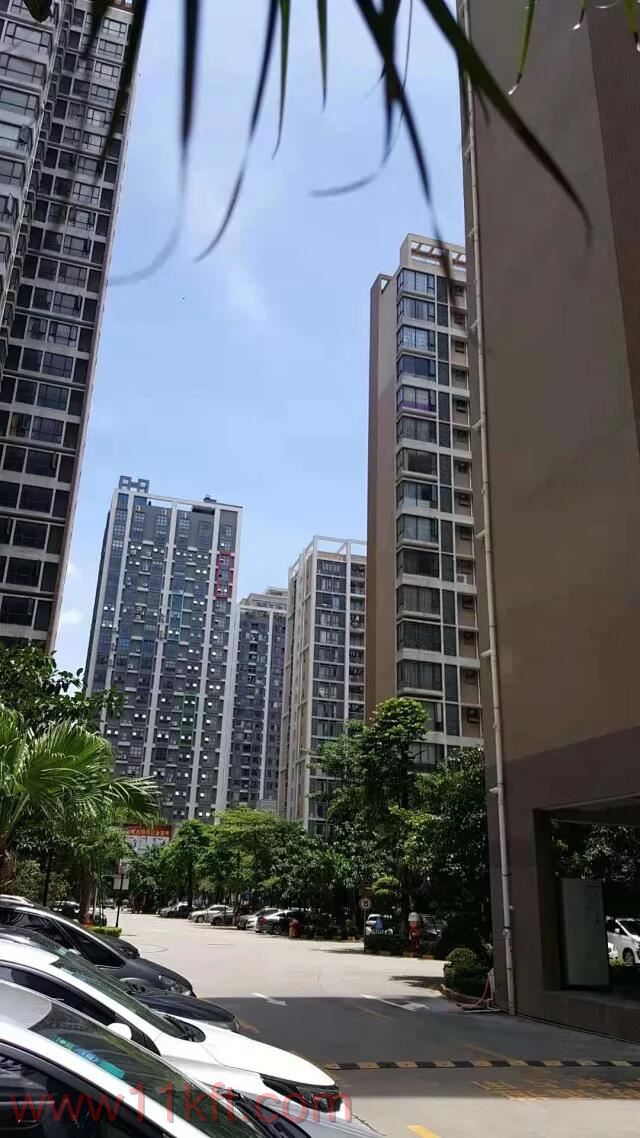 松岗小产权