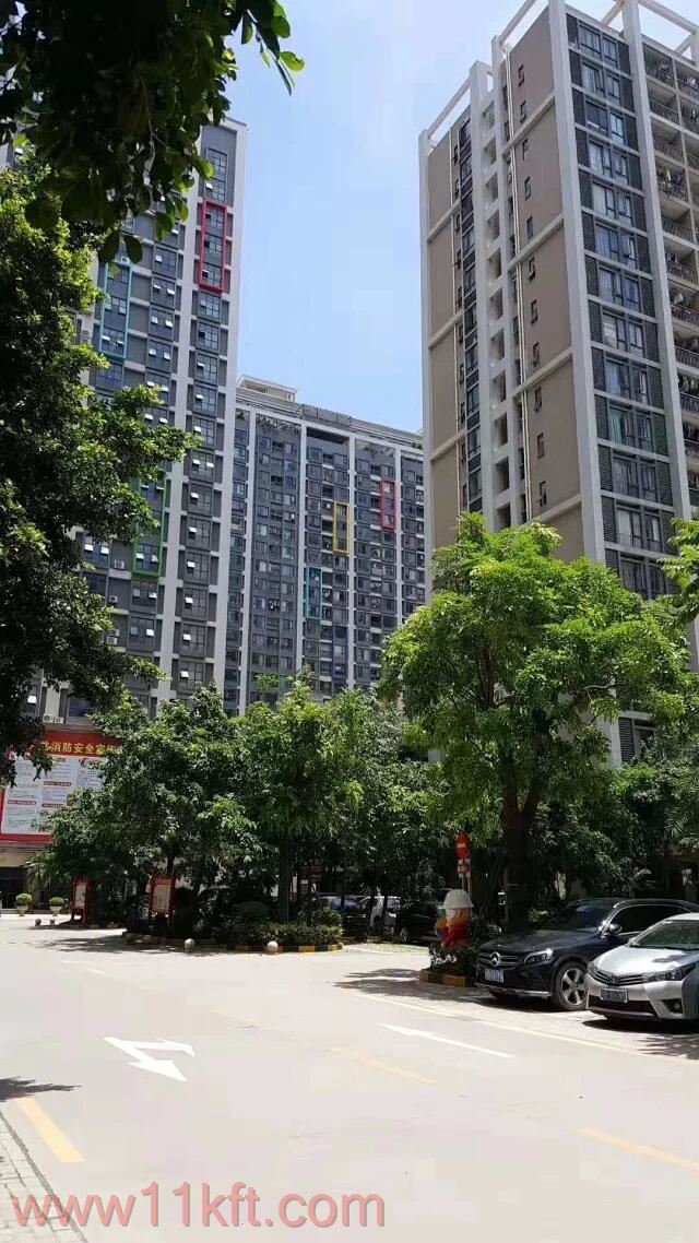松岗小产权