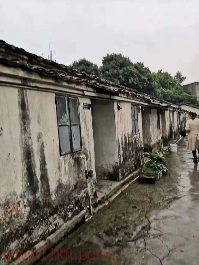 观澜樟坑径小产权单价
