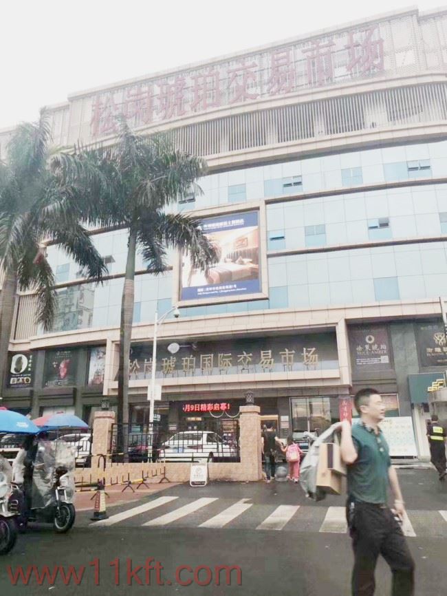 松岗站的小产权房