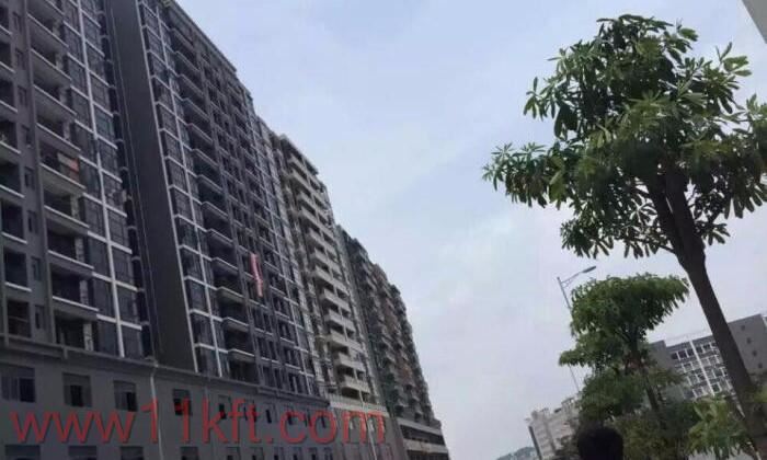 大浪小产权房哪家服务好