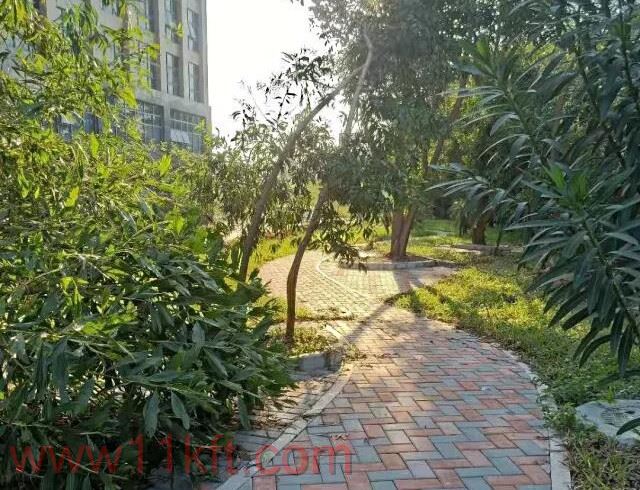 深圳小产权观澜大水坑三村规划