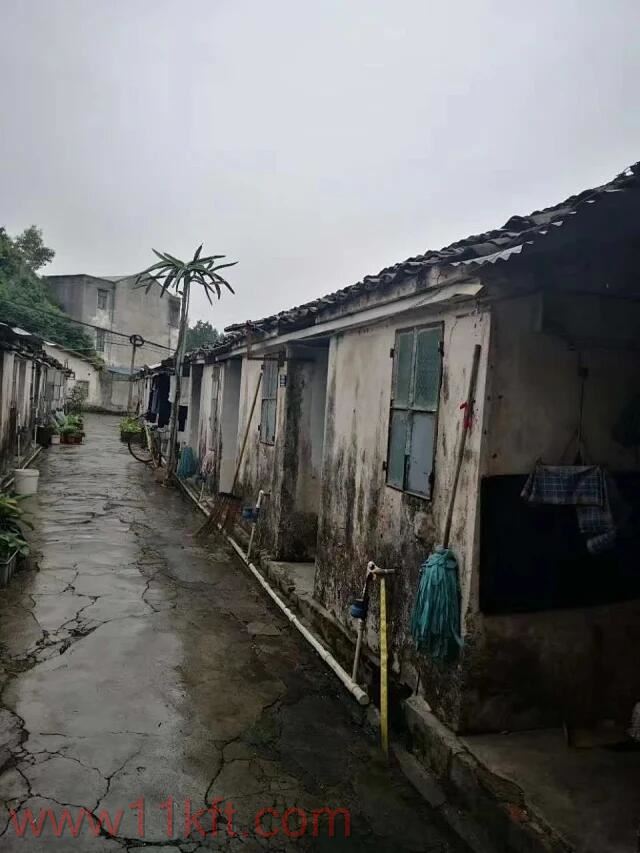 观澜樟坑径小产权单价