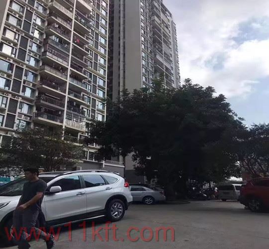 高效的布吉小产权房
