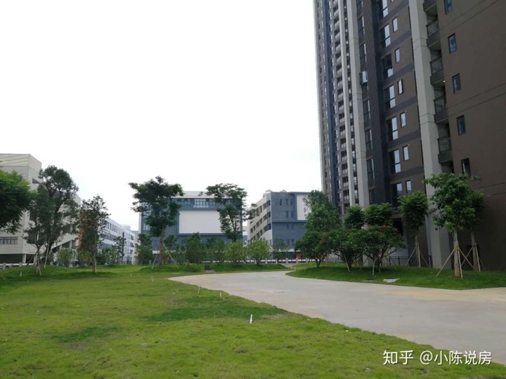 深圳观澜小产权房工艺制品几万元一万平方_值得称赞买回吗__chan_