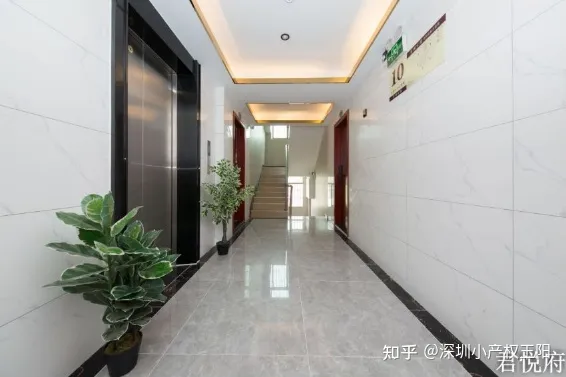 不看后悔（关于深圳小产权房的新闻）深圳小产权房成就了今日的深圳？，央视曝光深圳小产权房，