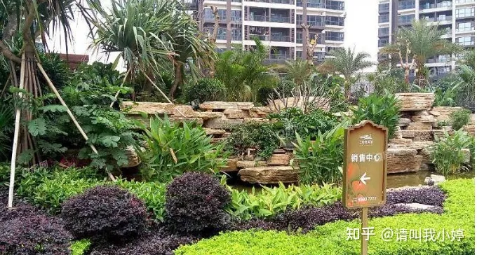 硬核推荐（2021年深圳小产权房转正最新消息）深圳首例小产权房转正！你知道都提交了那些手续呢？，深圳小产权房可以转正了，
